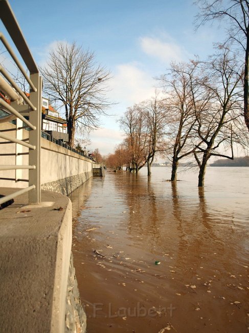 Hochwasser Koeln 2011 Tag 3 P095.JPG